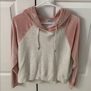 pink velvet sweatshirt